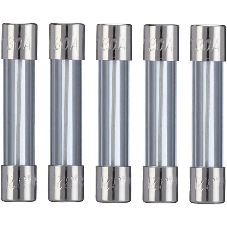 Fact Acting AGC 30 Amp Glass Fuses - 5 Pack