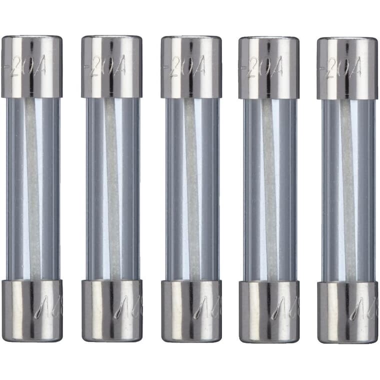 Fast Acting SFE 20 Amp Glass Fuses - 5 Pack