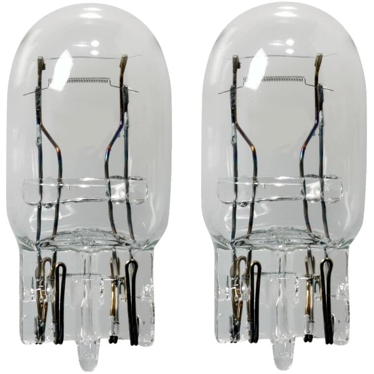 Paquet de 2 mini ampoules à culot poussoir à longue durée T-6 de 13,5 V
