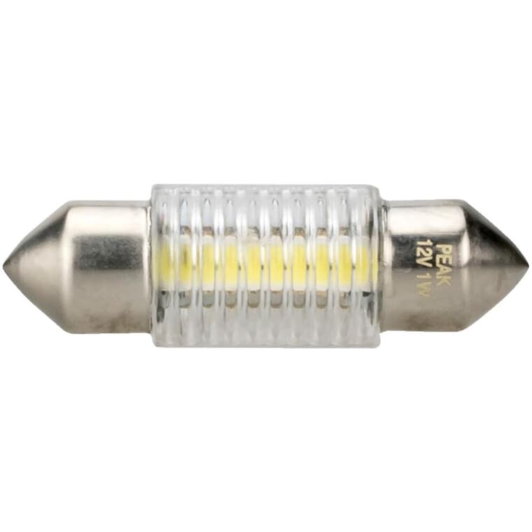 Mini-ampoule de rechange à DEL de 12 V ordinaire, 30-31 mm
