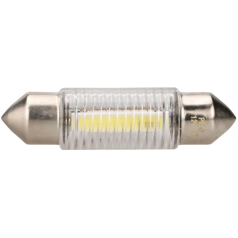 Mini-ampoule de rechange à DEL de 12 V ordinaire, 36-38 mm