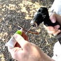 Photo thumbnail